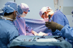 FAA Medical Support for pilots, medical examiners and the FAA.
